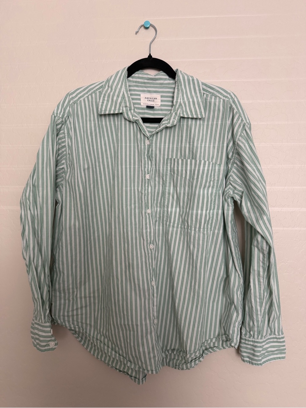 American Eagle Outfitters Mint Green and White Striped Button-Down Shirt